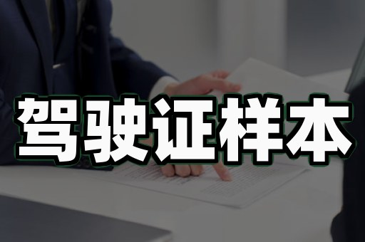 证件制作工具推荐:从零到专业的3步实战指南